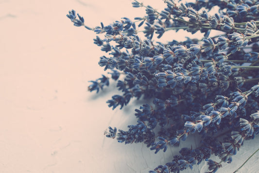 Lavender Bliss Bundle