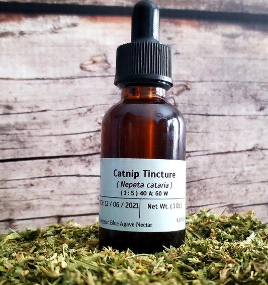 Catnip Tincture (Nepeta cataria)