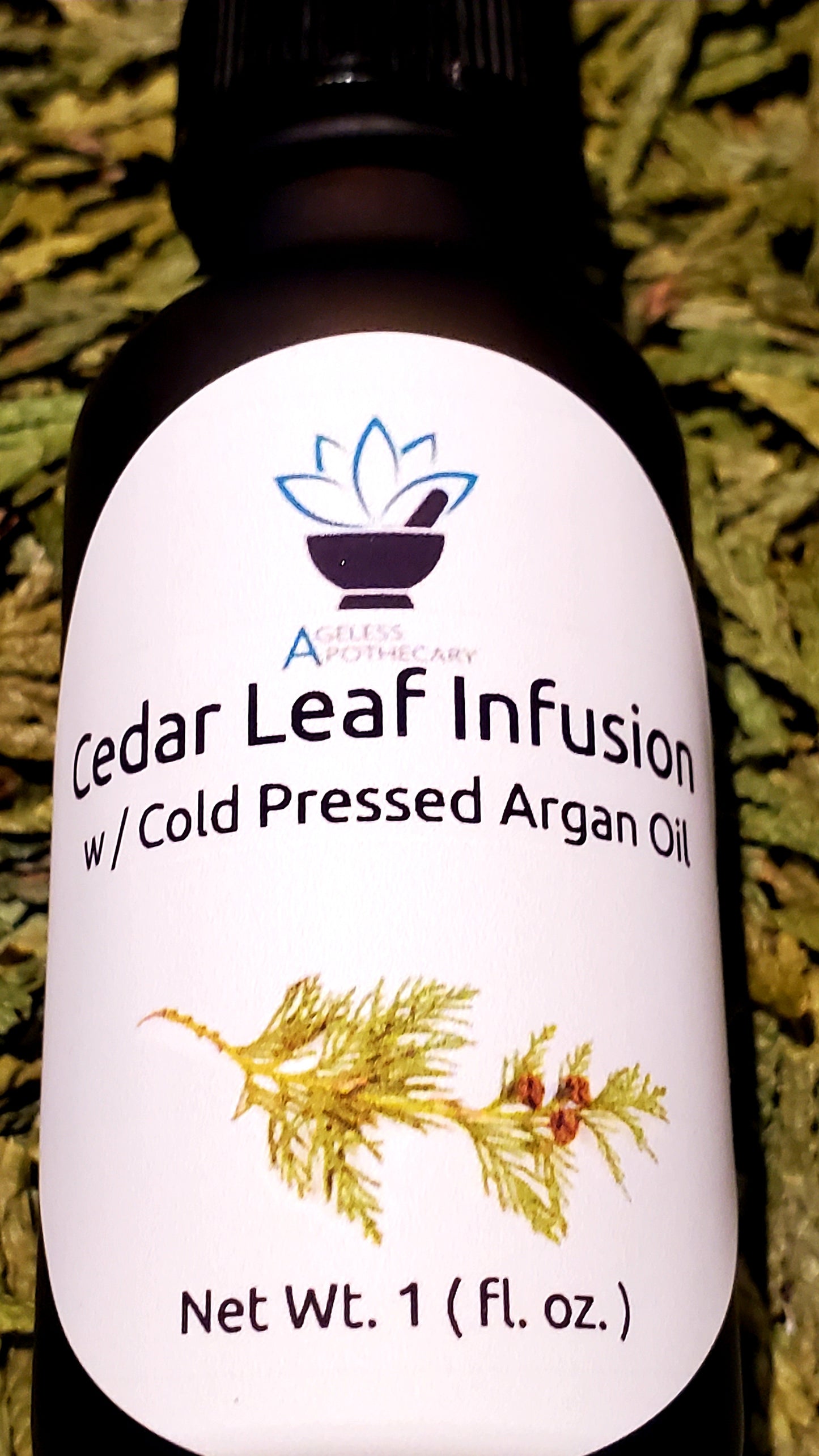 Cedar Leaf & Argan Oil Infusion (Thuja plicata & Argania spinosa)
