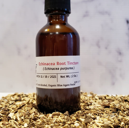 Echinacea Root Tincture (Echinacea purpurea)