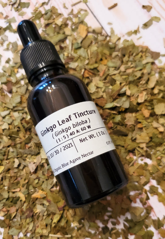 Ginkgo Leaf Tincture (Ginkgo biloba)