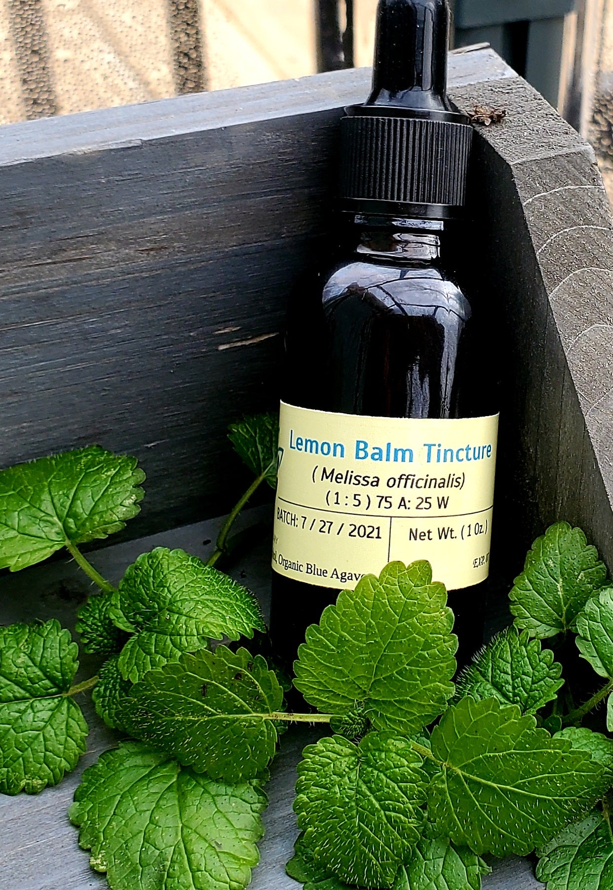 Lemon Balm Tincture (Melissa officinalis)