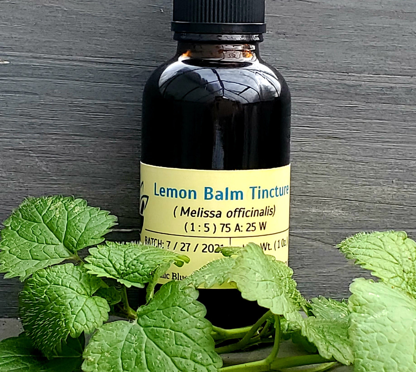 Lemon Balm Tincture (Melissa officinalis)