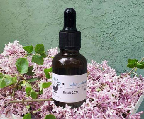 Lilac Grapeseed Infused Oil – Ageless Apothecary