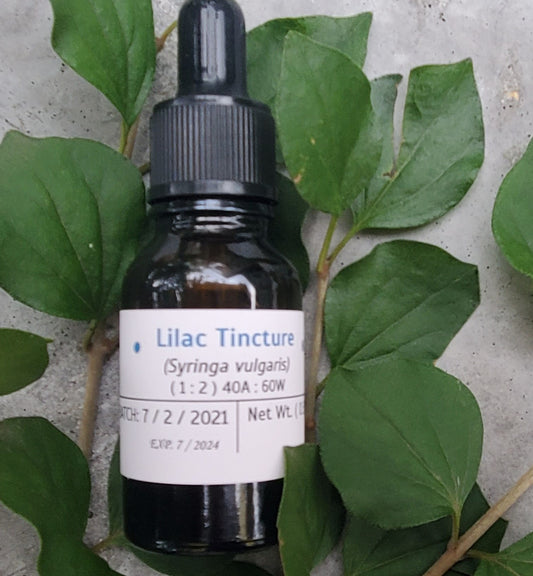 Lilac Tincture