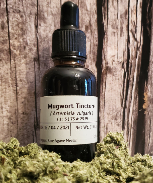 Mugwort Lunar Tincture (Artemisia vulgaris)