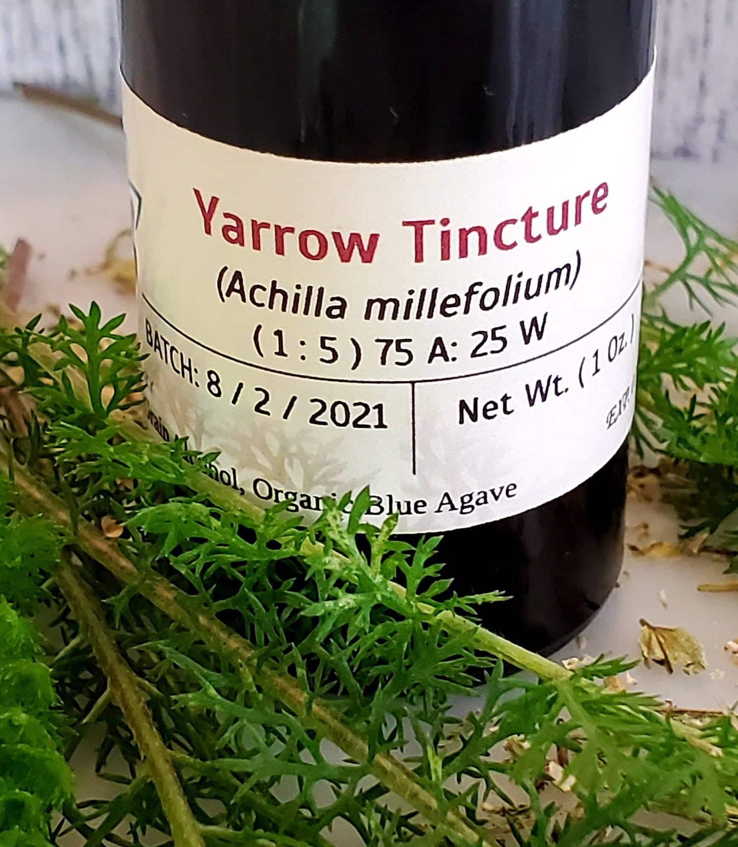 Yarrow Tincture (Achillea millefolium)