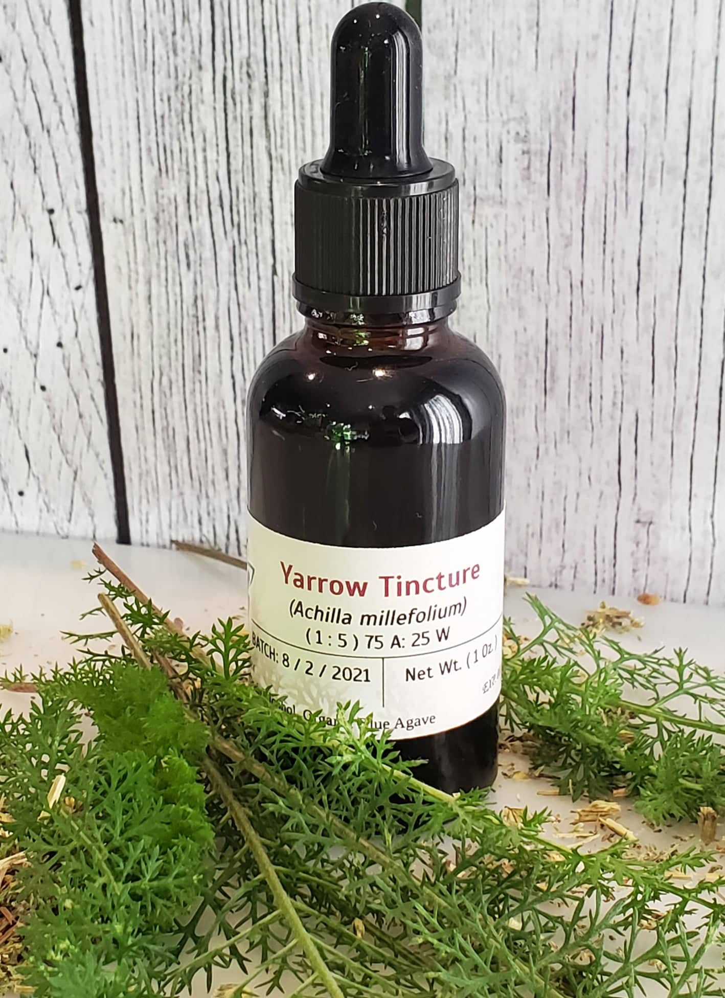 Yarrow Tincture (Achillea millefolium)