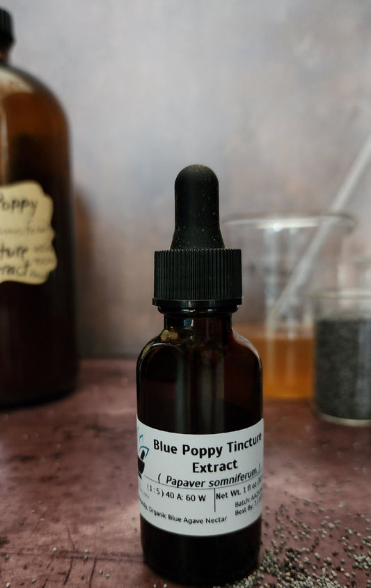 Blue Poppy Tincture Extract (Papaver somniferum)