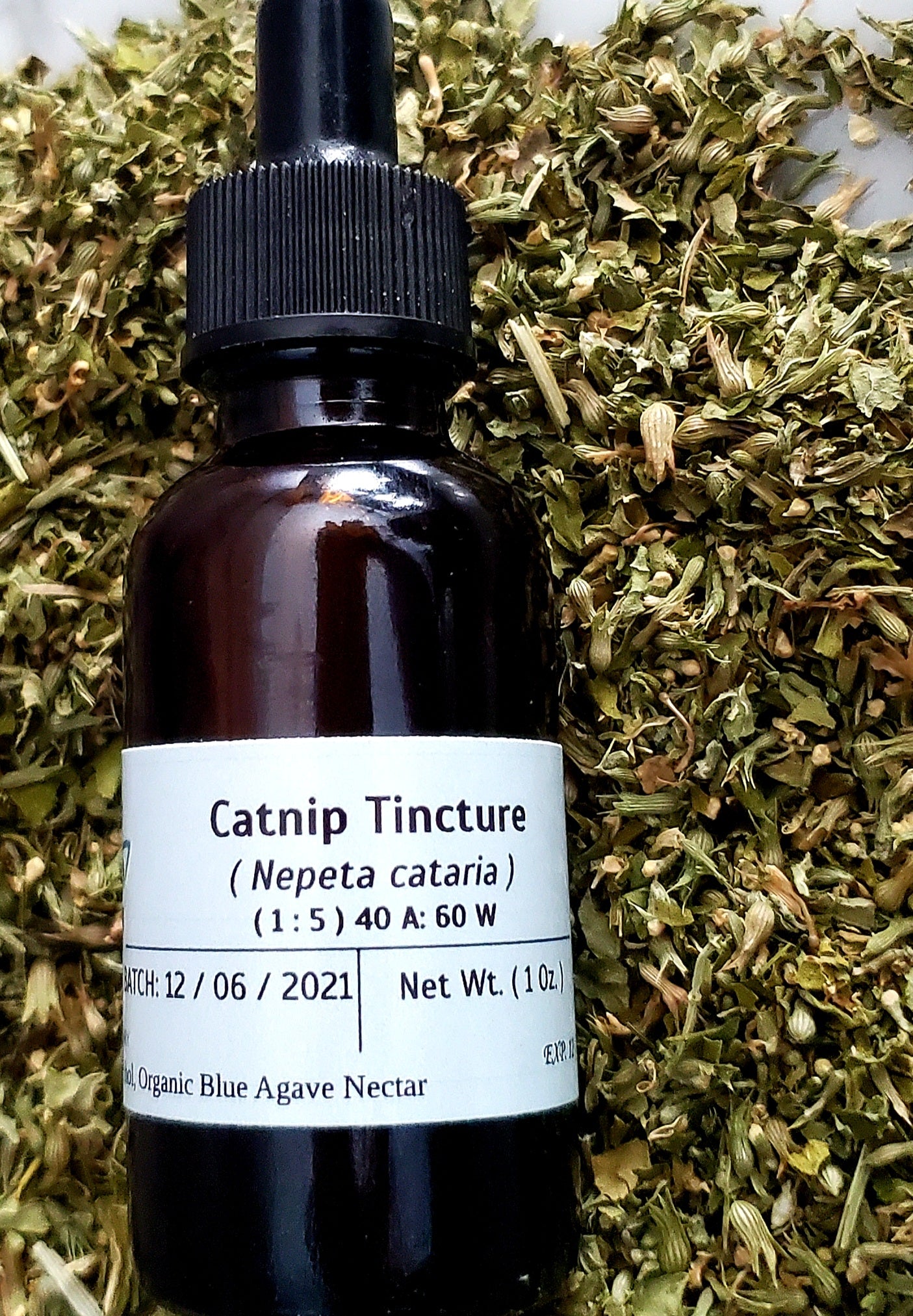 Catnip Tincture (Nepeta cataria)