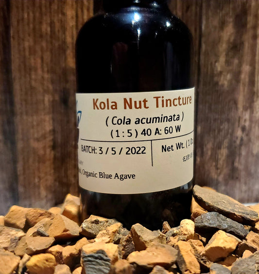 Kola Nut ( Cola acuminata)