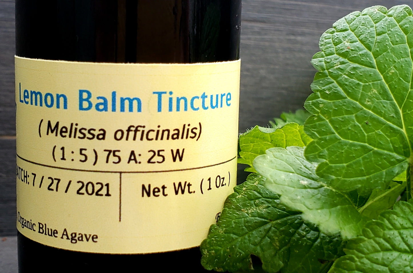 Lemon Balm Tincture (Melissa officinalis)