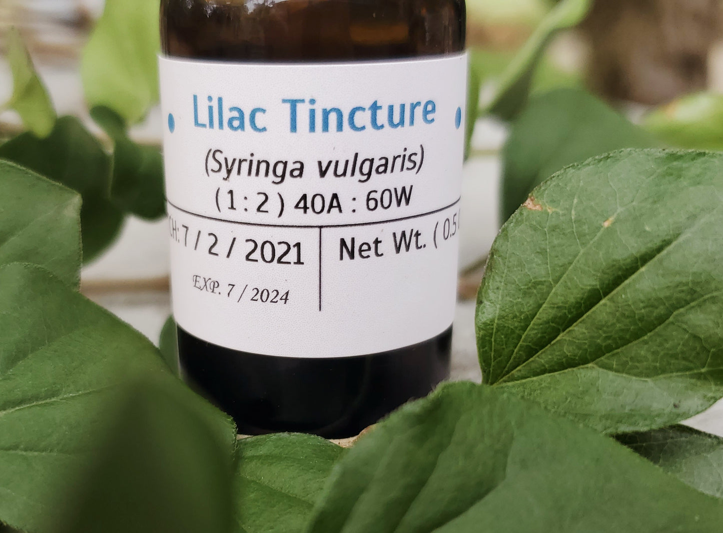 Lilac Tincture