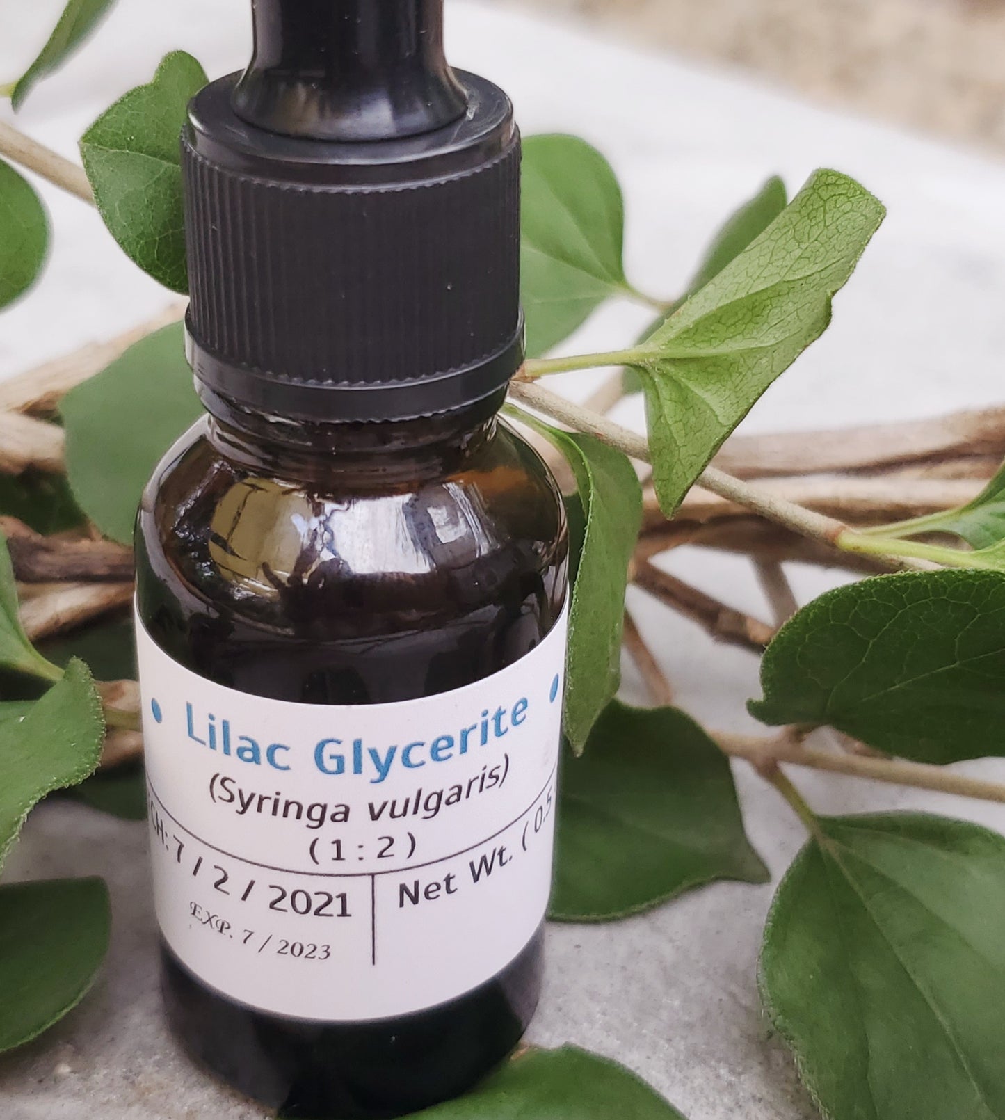 Lilac Glycerite (Syringa vulgaris)