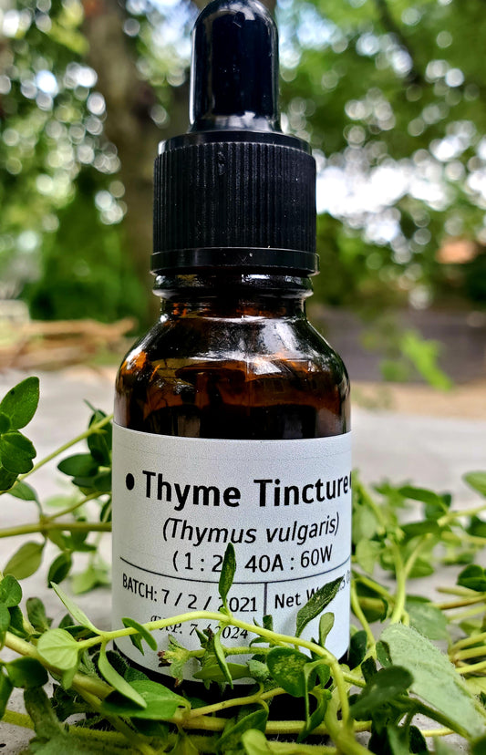 Thyme Tincture 1 oz