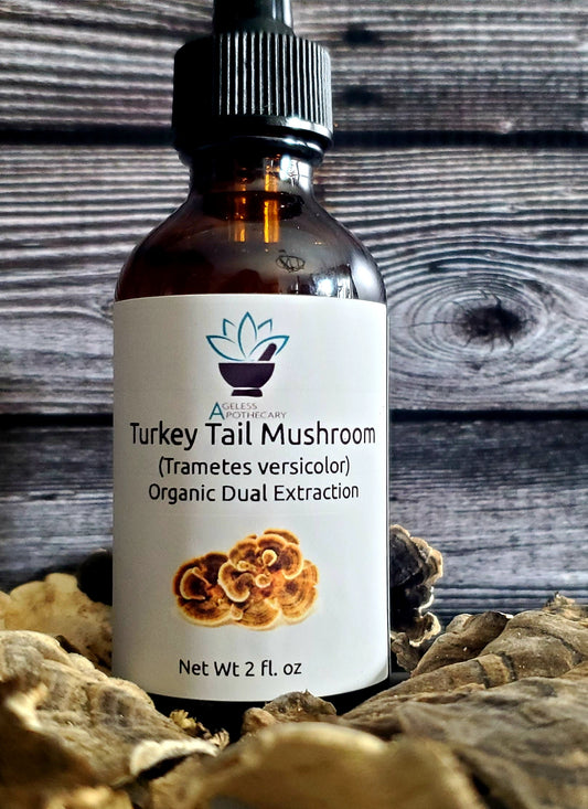 Turkey Tail Extract (Trametes versicolor)